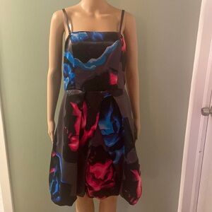 Express silk dress size 12!